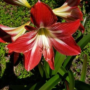 Meet your Posher, Ann